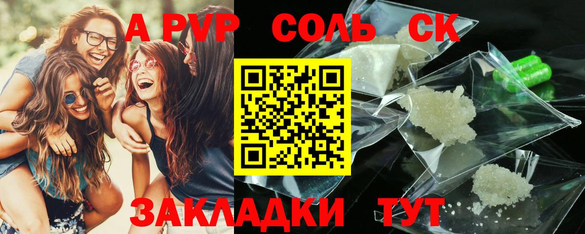 A PVP СК Вологда