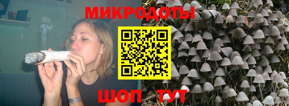 Галлюциногенные грибы Psilocybe Вологда