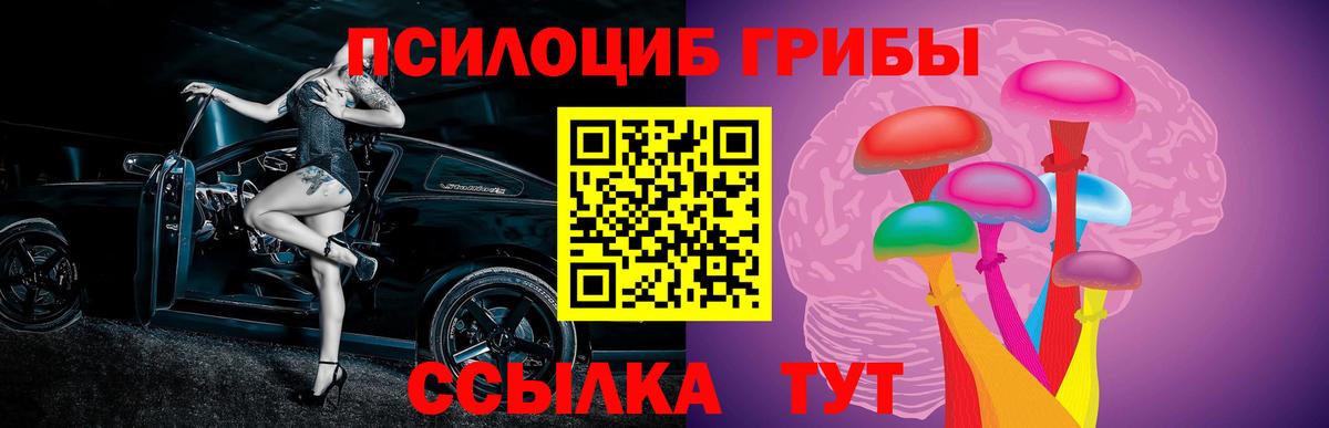 Галлюциногенные грибы MAGIC MUSHROOMS  Галлюциногенные грибы MAGIC MUSHROOMS  купить наркоту  Вологда  Вход с VPN 